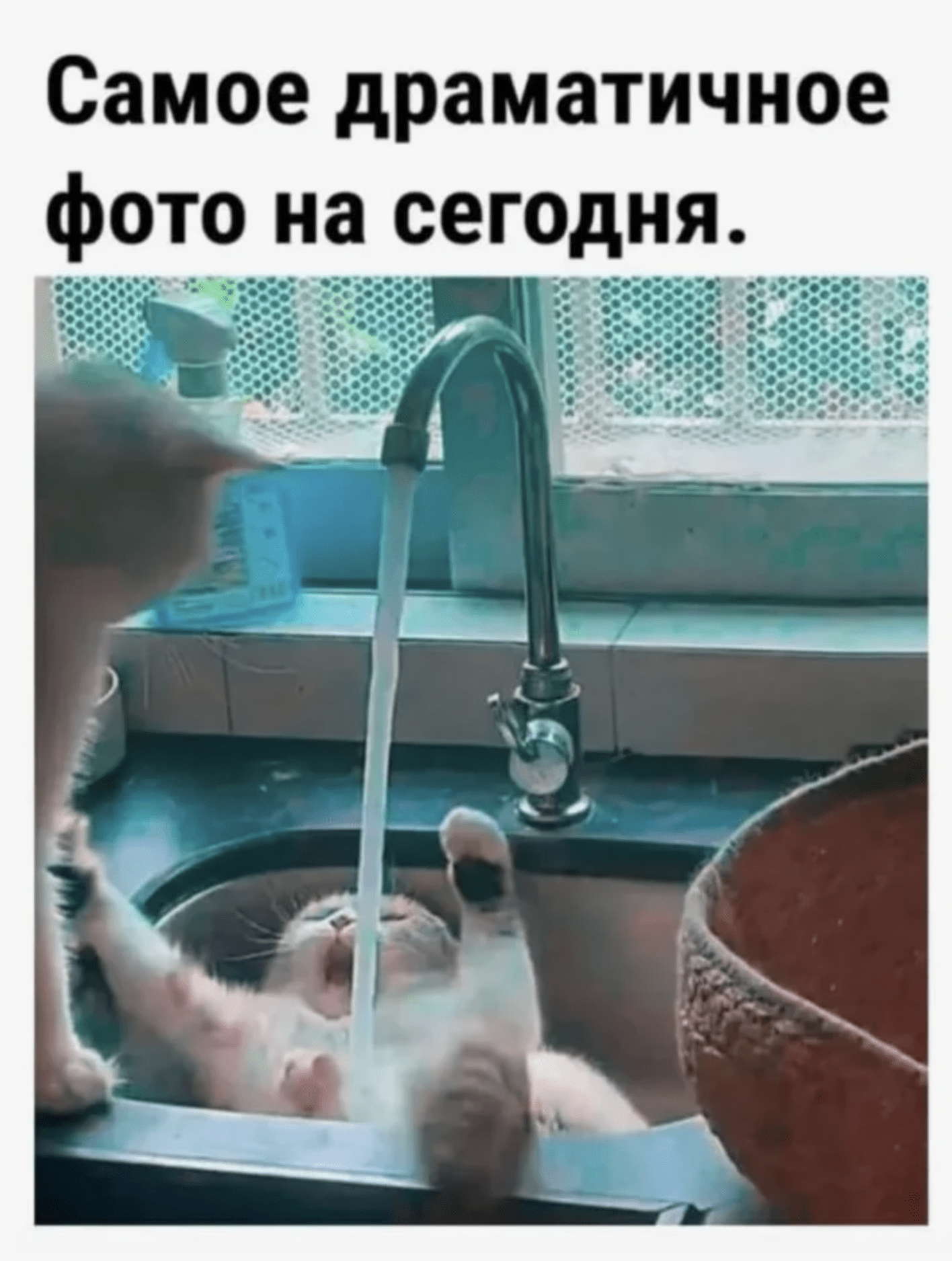 Смех до слёз: Анекдоты для хорошего настроения